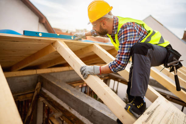 Best Metal Roofing Contractor  in Sidney, IL