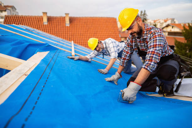 Best Roof Repair Services  in Sidney, IL