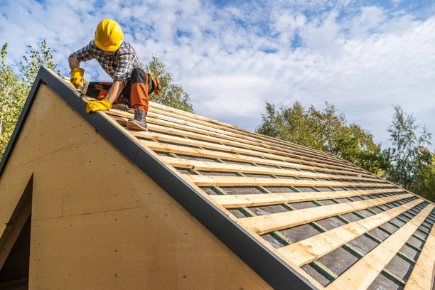 Best Roof Gutter Cleaning  in Sidney, IL